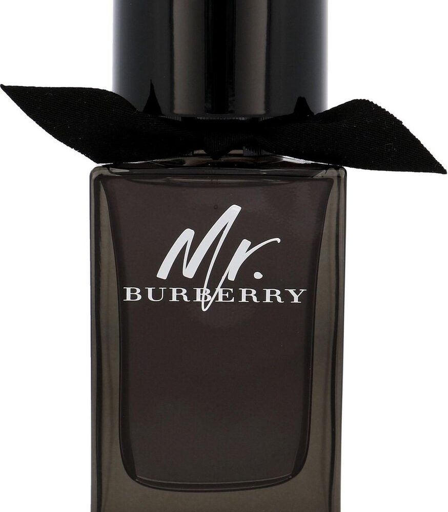 Burberry - Mr.Burberry for Men - Eau De Parfum - 100ML